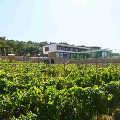 Villa Excelsior - 5 stars