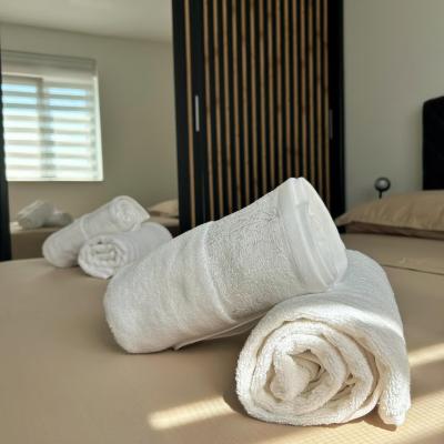 City Escape Stylish Cozy Apt 5